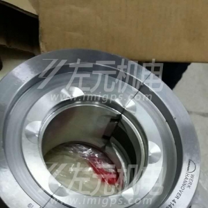 EFZLB 11-110,EFZLB 9-80電機(jī)軸瓦，油封及油環(huán)應(yīng)用于化工行業(yè)電機(jī)